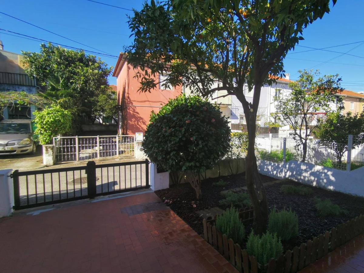 Villa Coimbra - Casa Inteira Bagian luar foto